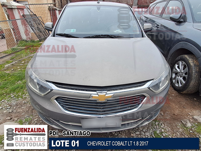 Lote 01