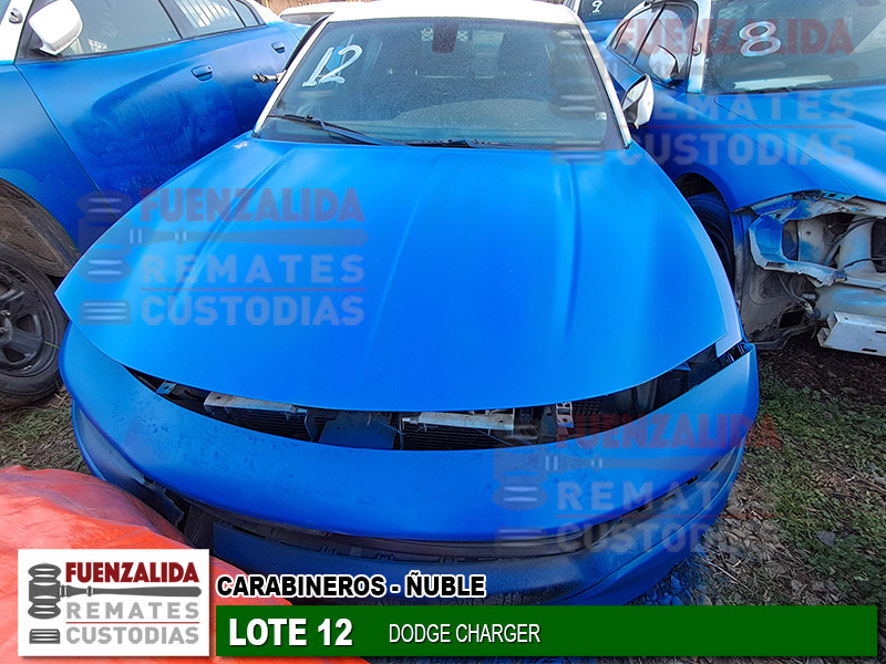DODGE CHARGER