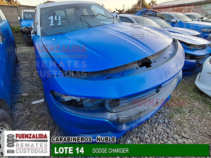 DODGE CHARGER