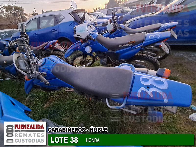 HONDA TORNADO XR-250