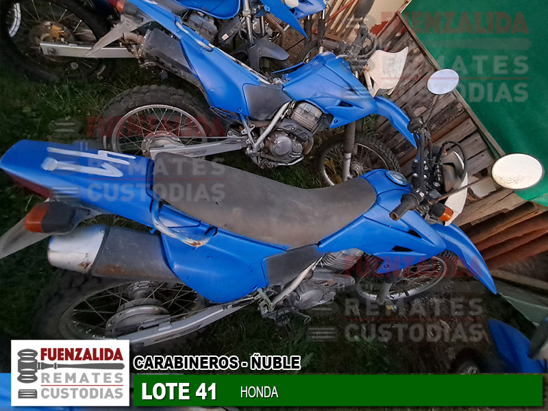 HONDA TORNADO XR-250