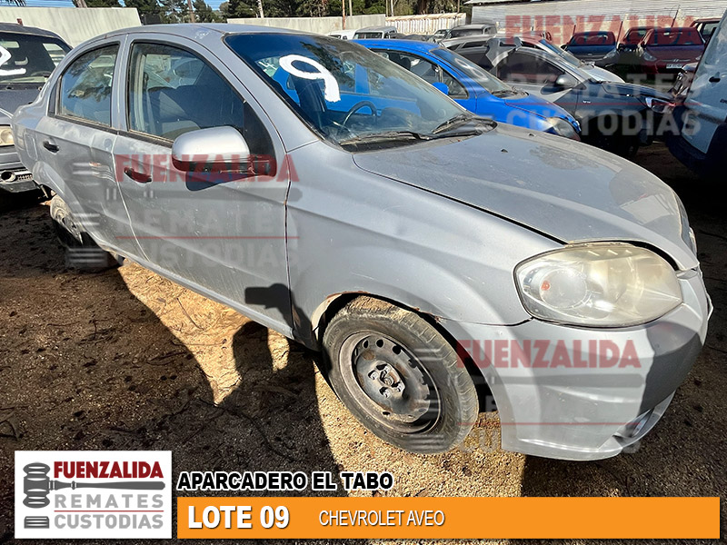 Miniatura