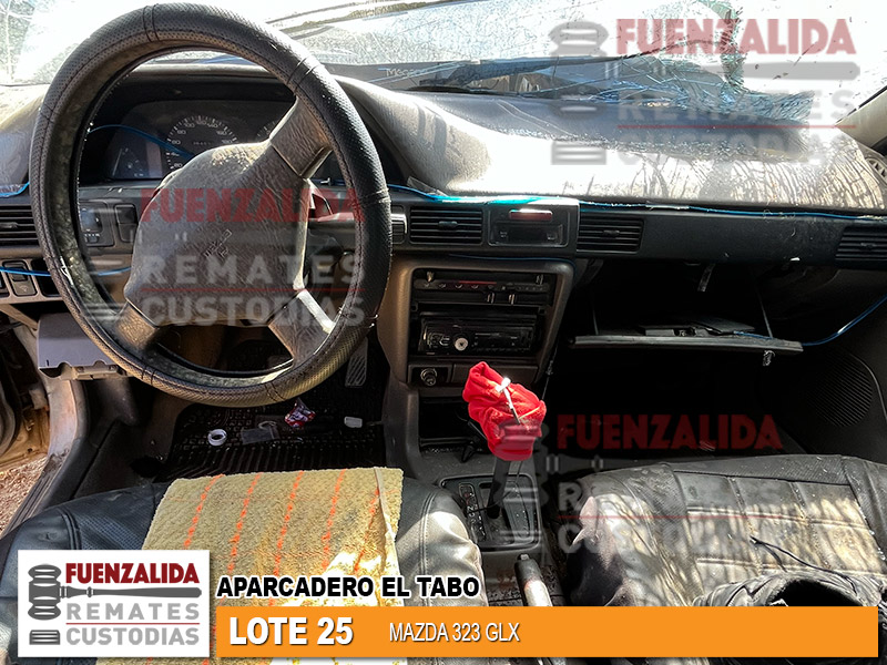 Miniatura