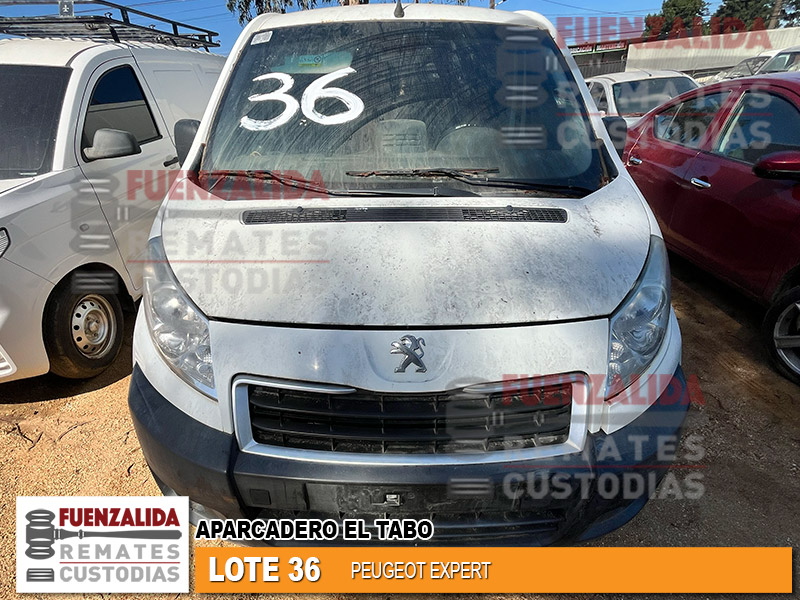 PEUGEOT EXPERT