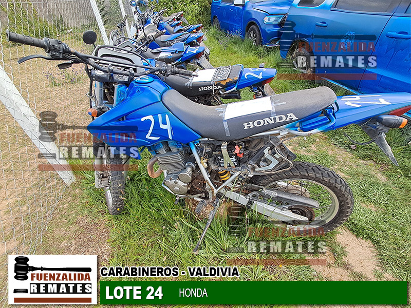 HONDA TORNADO XR-250 2010