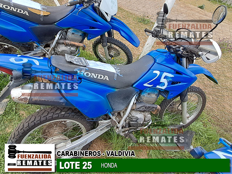 HONDA TORNADO XR-250 2009