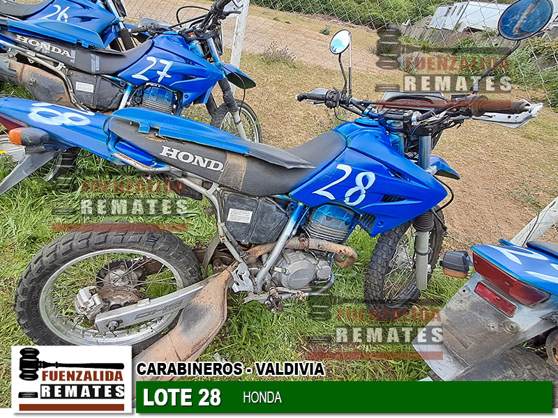 HONDA TORNADO XR-250 2008