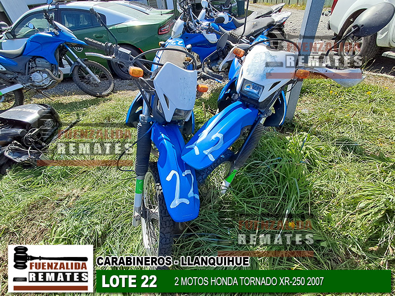 HONDA TORNADO XR-250