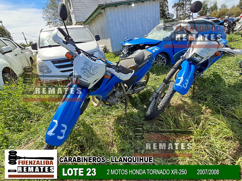 HONDA TORNADO XR-250